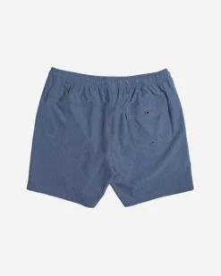 LOST CLOTHING MASTER BEACHSHORT (10800545) -Billabong Shop 10800545 IND 1 90996.1684357077