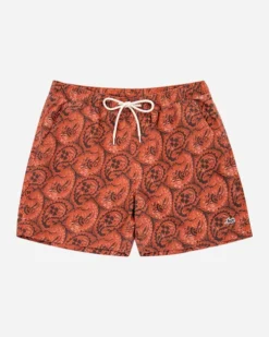 LOST CLOTHING PRISM BEACHSHORT (10800622) 14 LOST CLOTHING PRISM BEACHSHORT (10800622) -Billabong Shop 10800622 FFR 10687.1686002853