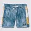 VANS PRIMARY VANS WAVE BOARDSHORT (VN0008KQBR41)