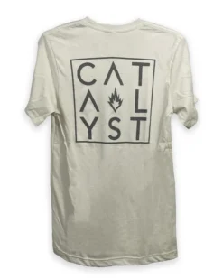 CATALYST DON'T BE SQUARE TEE () -Billabong Shop dbstanback 36076.1675199809